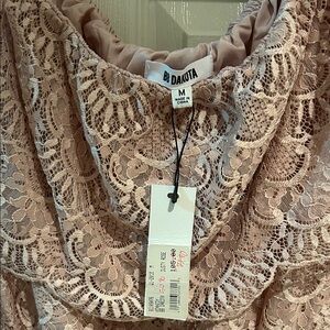 BB Dakota Floral Lace Dress in Soft Pink